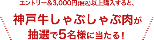 エントリー＆3,000円(税込)以上購入すると、神戸牛しゃぶしゃぶ肉が抽選で5名様に当たる！