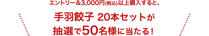 エントリー＆3,000円(税込)以上購入すると、手羽餃子 20本セット が抽選で50名様に当たる！