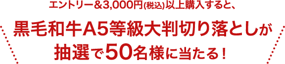 エントリー&3,000円(税込)以上購入すると、国産牛 2段重 焼肉セットが抽選で29名様に当たる!