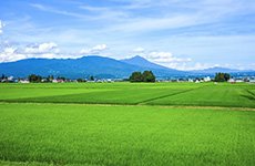 福島県湯川村のご紹介