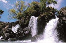 静岡県長泉町のご紹介