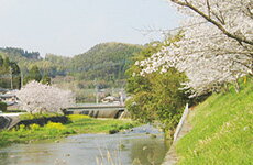 熊本県和水町のご紹介