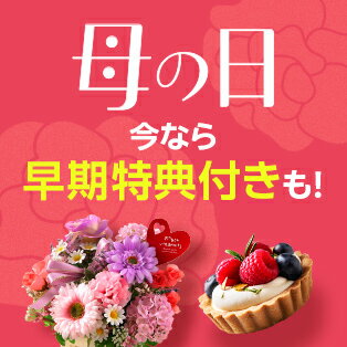母の日特集2026