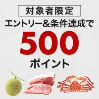 今年まだふるさと納税をしていない方限定！条件達成で500ポイントプレゼント