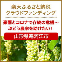 クラウドファンディング[山形県寒河江市]