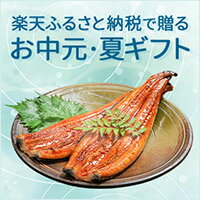 ふるさと納税で贈るお中元・夏ギフト
