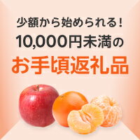 お手頃返礼品特集