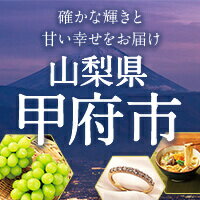 山梨県甲府市