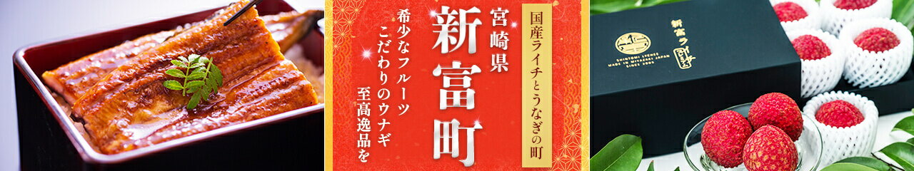 宮崎県新富町の返礼品特集