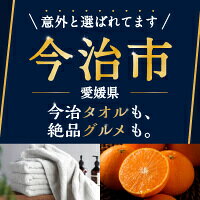 愛媛県今治市