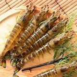 沖縄県与那国町