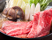 神奈川県平塚市