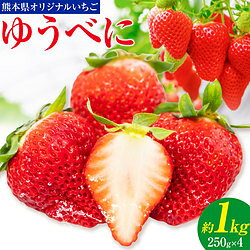 熊本県オリジナルいちご ゆうべに 約1kg