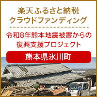 熊本県氷川町のクラウドファンディング