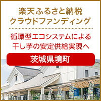 茨城県境町のクラウドファンディング