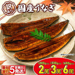 サイズ不揃いの訳ありでも味で勝負！国産うなぎ蒲焼き