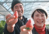 次世代につなぐ！いちごの味力 ～大分県杵築市～