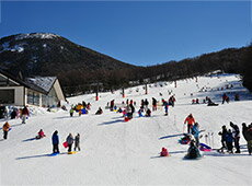 湯の丸スキー場　リフト1日券（全日）×2枚セット