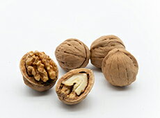 東御市のくるみ「信濃くるみ」　殻つきくるみ約1.4kg