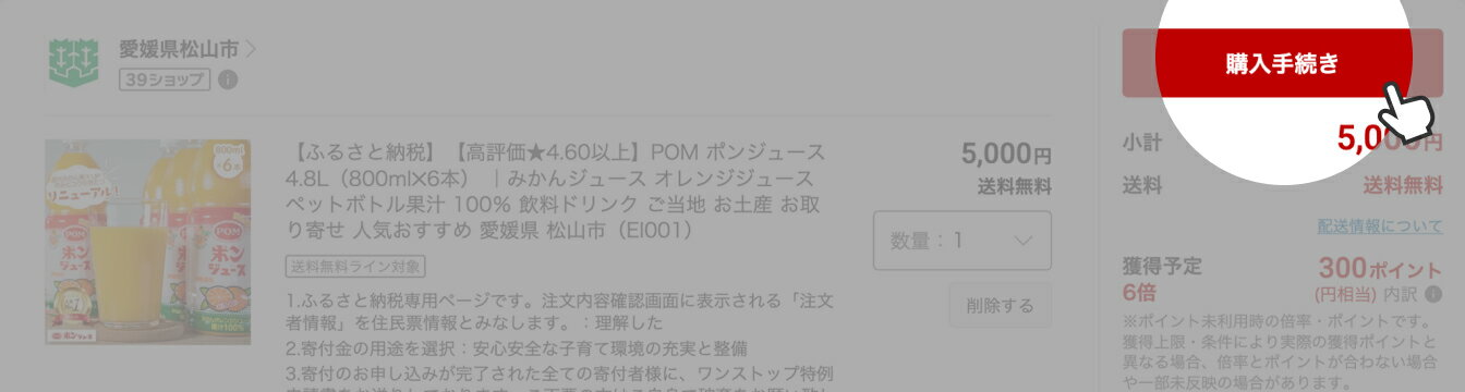 「ご購入手続き」ボタンとマウスポインタが表示されている画面。