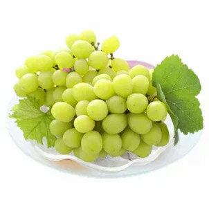 フルーツ・果物