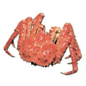 魚介類・水産加工品