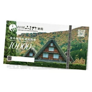 旅行・体験チケット