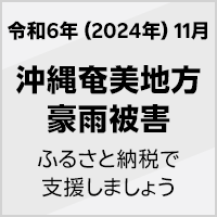 2024年 11月沖縄奄美地方豪雨