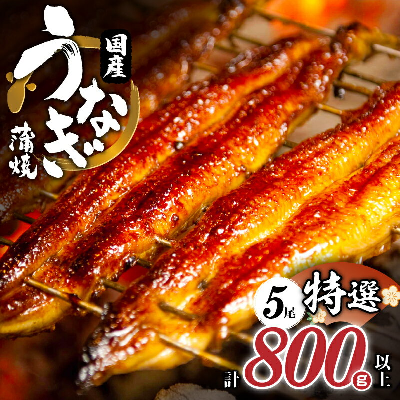 ボリュームたっぷり！国産うなぎ蒲焼長焼 約160g×5尾