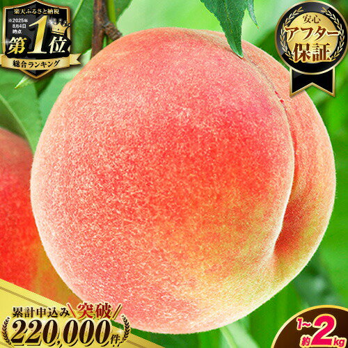 2026年先行予約！とろける食感 紀の里の桃