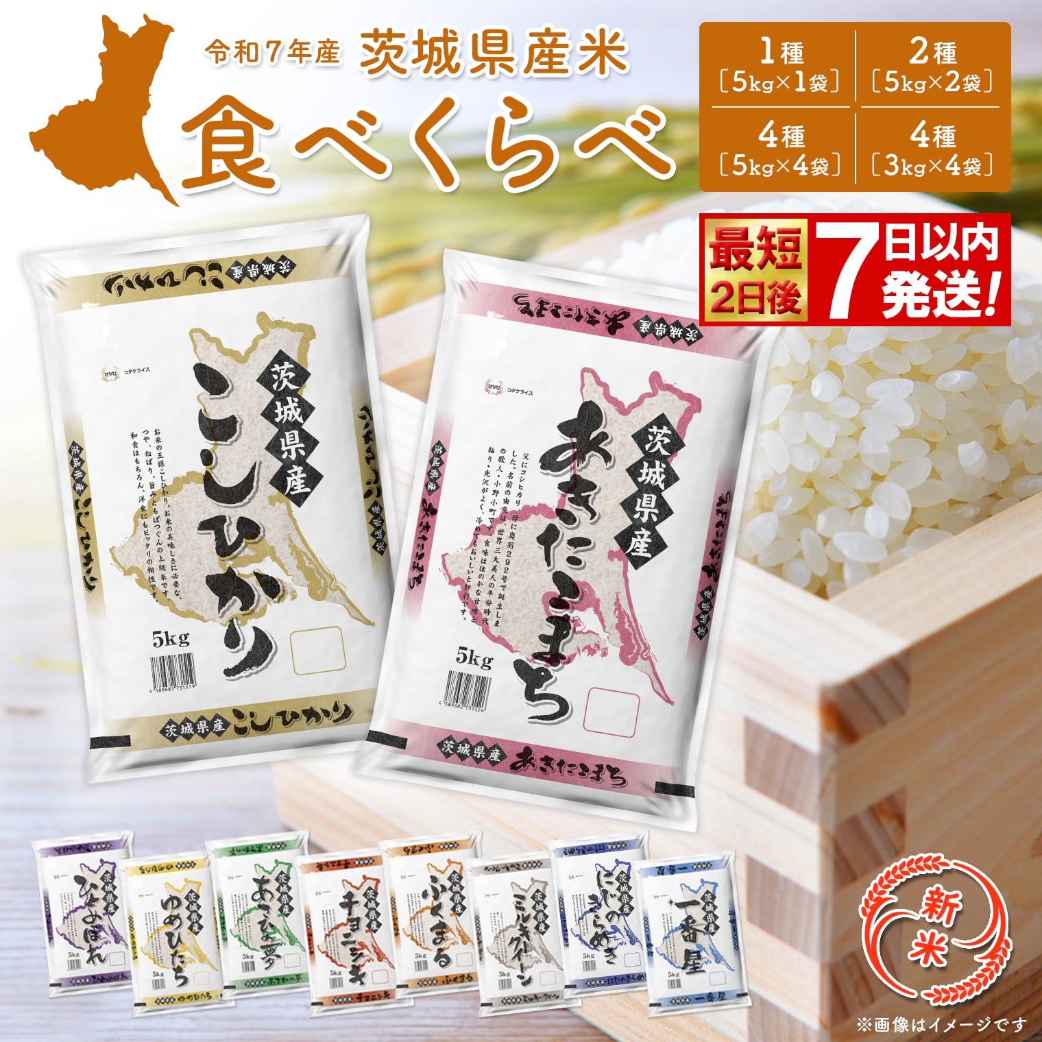 数量限定!茨城県産 お米 4種食べくらべも