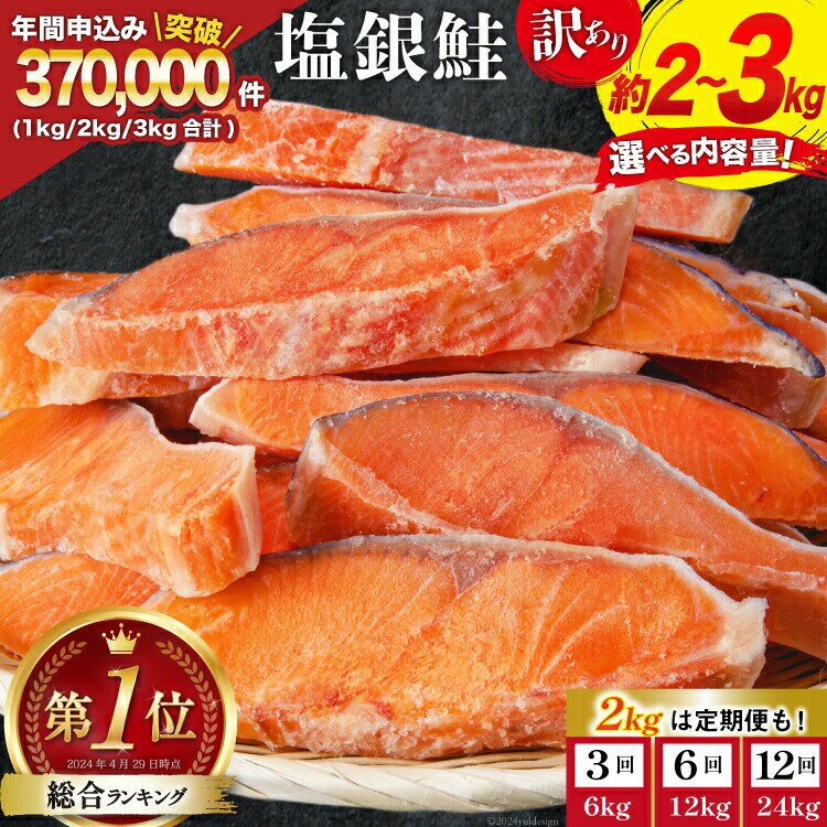 脂のりがよくふっくらした身 訳あり 銀鮭 切り身