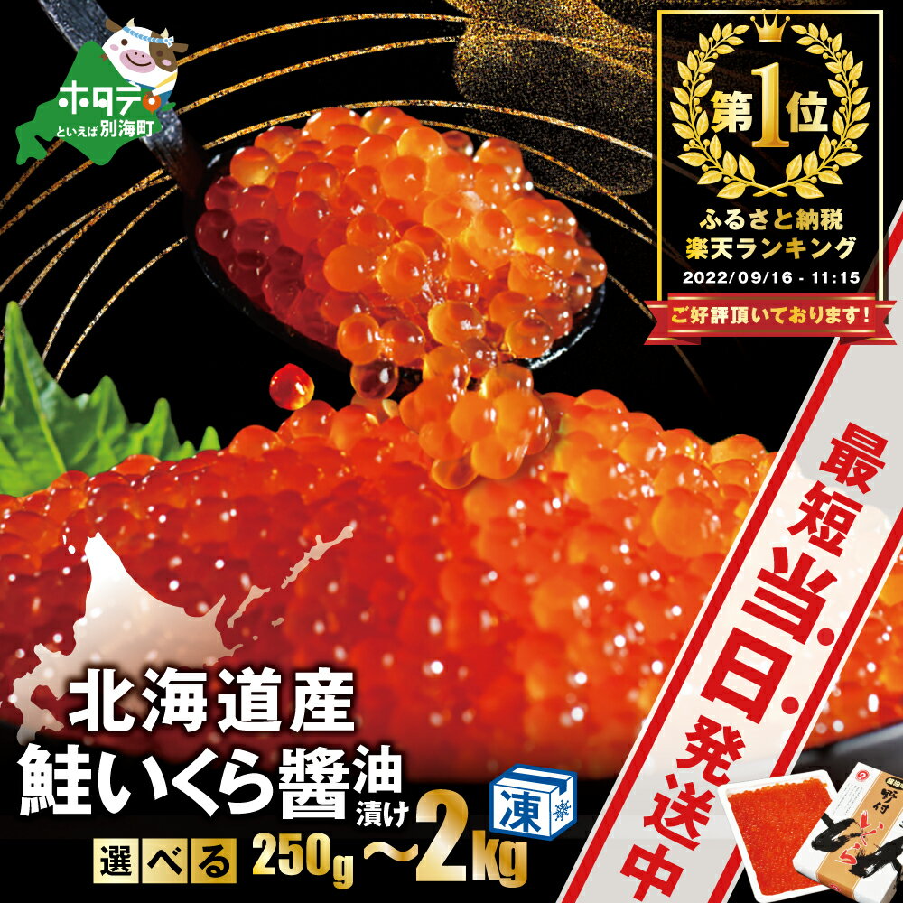 発送時期が選べる!北海道産鮭いくら醤油漬け