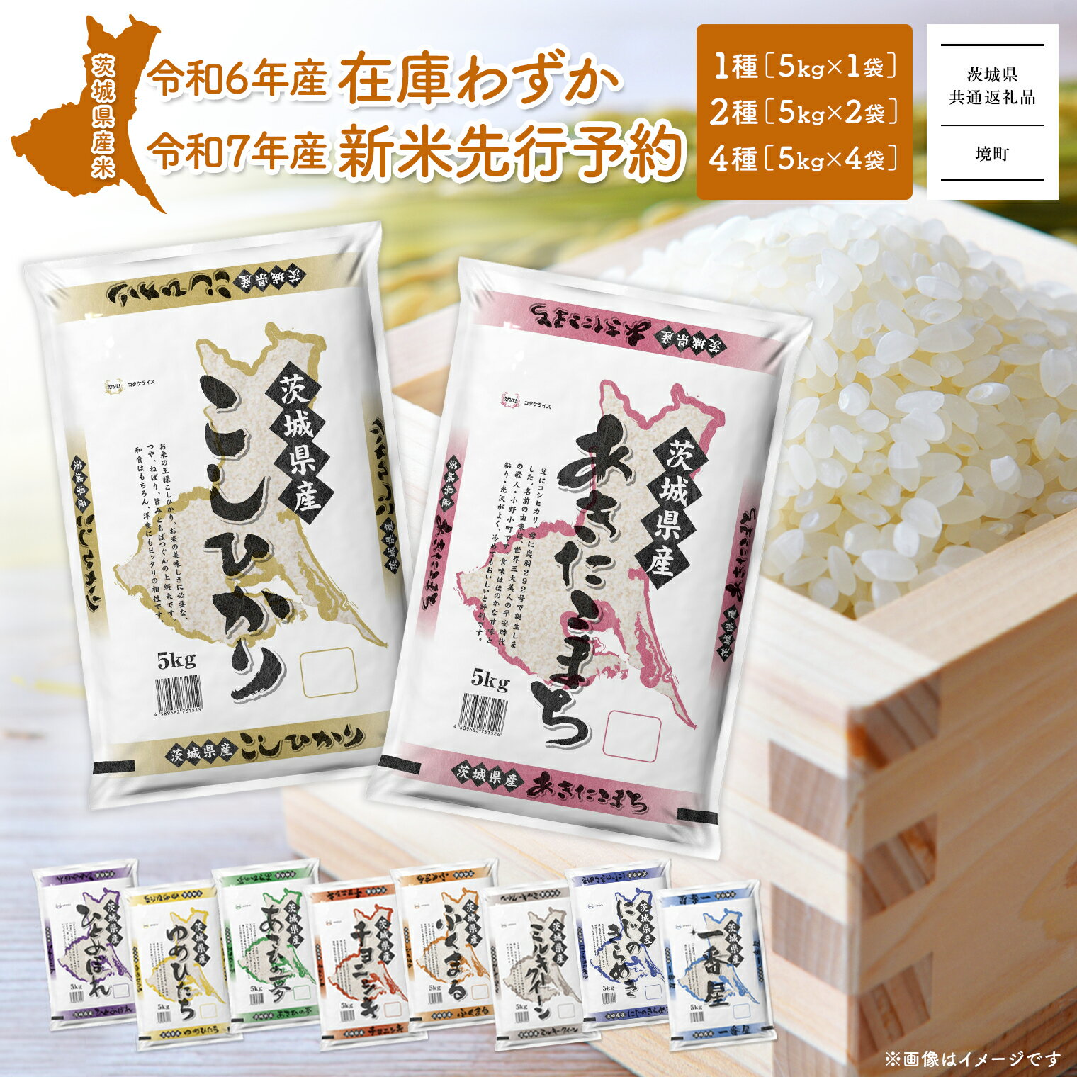 容量と発送回数を選べる!茨城県産のお米