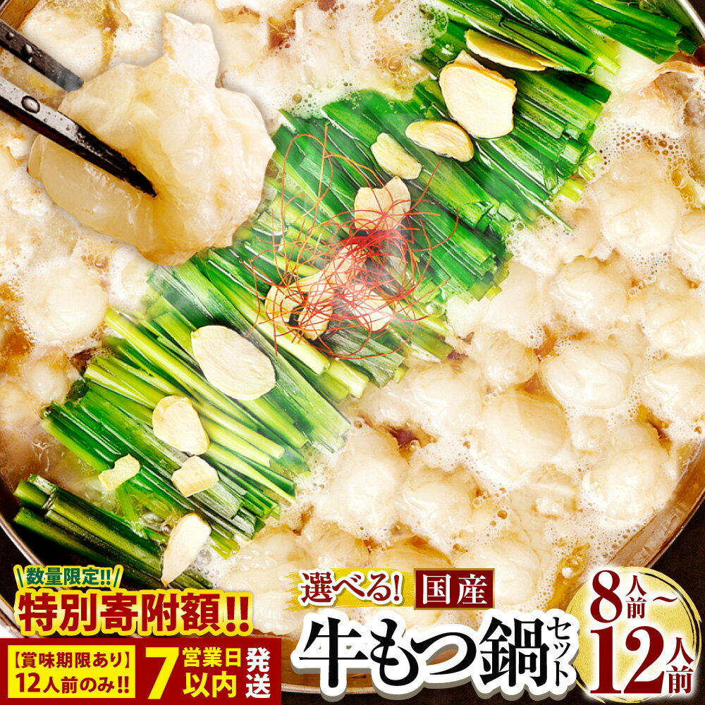 国産黒毛和牛の小腸を楽しめる!選べるもつ鍋セット