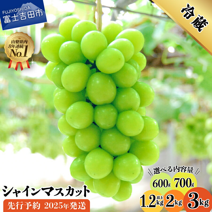 瑞々しい美味しさ!山梨県産シャインマスカット