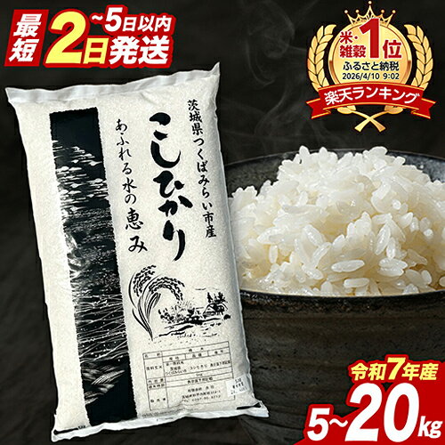 出荷時期＆内容量が選べる「コシヒカリ」or「品種お任せ」