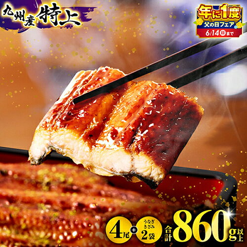 こだわりの美味しさと品質！九州産 特上うなぎ蒲焼き