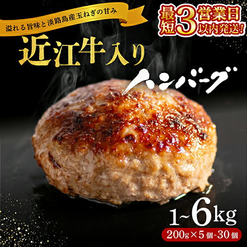 旨さあふれる至高の一品 近江牛入りハンバーグ 大満足サイズ