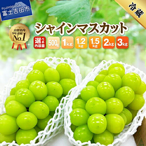 皮ごと食べられる！フルーツ王国山梨シャインマスカット