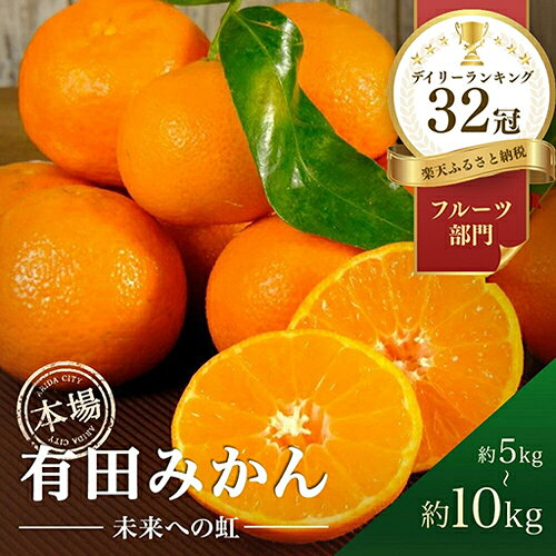 太陽と潮風に育まれたミネラル豊富な 有田みかん