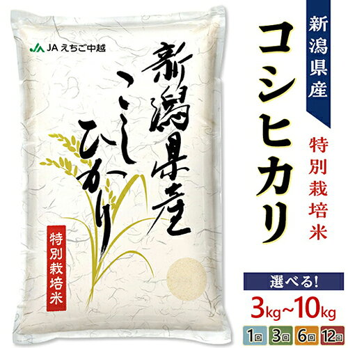 内容量＆配送回数・時期が選べる！特別栽培米「こしひかり」