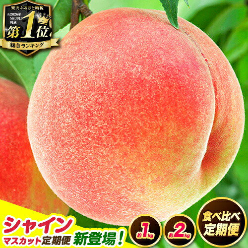 じゅわっとあふれる果汁！紀の里の桃 食べ比べ定期便も