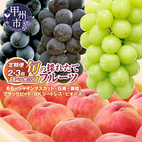 産地直送！選べる組み合わせ 旬の採れたてフルーツ定期便