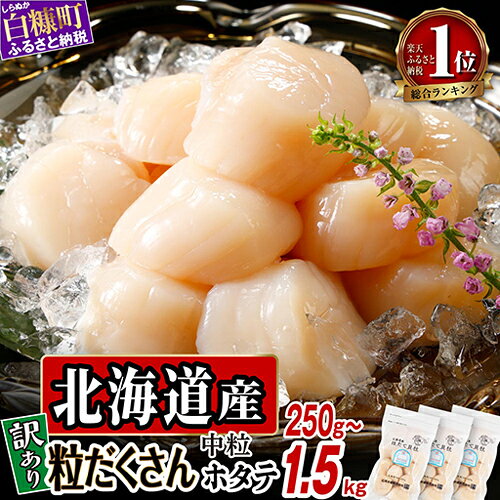 訳あり！新鮮だからこそ、際立つ旨味 粒だくさん中粒ホタテ