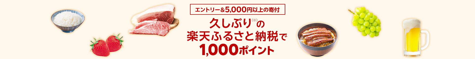 久しぶりの楽天ふるさと納税で1,000ポイント