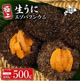 極上！エゾバフンウニ パック詰 100g～500g