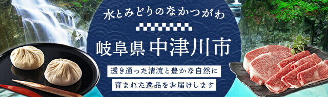 ふるさと納税 岐阜県 中津川市 60004 椹おひつ（のせ蓋）（内底R加工） 本物