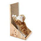 猫壱