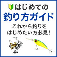 はじめての釣り方ガイド